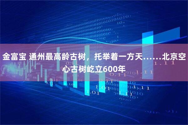 金富宝 通州最高龄古树，托举着一方天……北京空心古树屹立600年